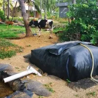 Flexi biogas biogas plant for goshala sistema bio 1000x1000